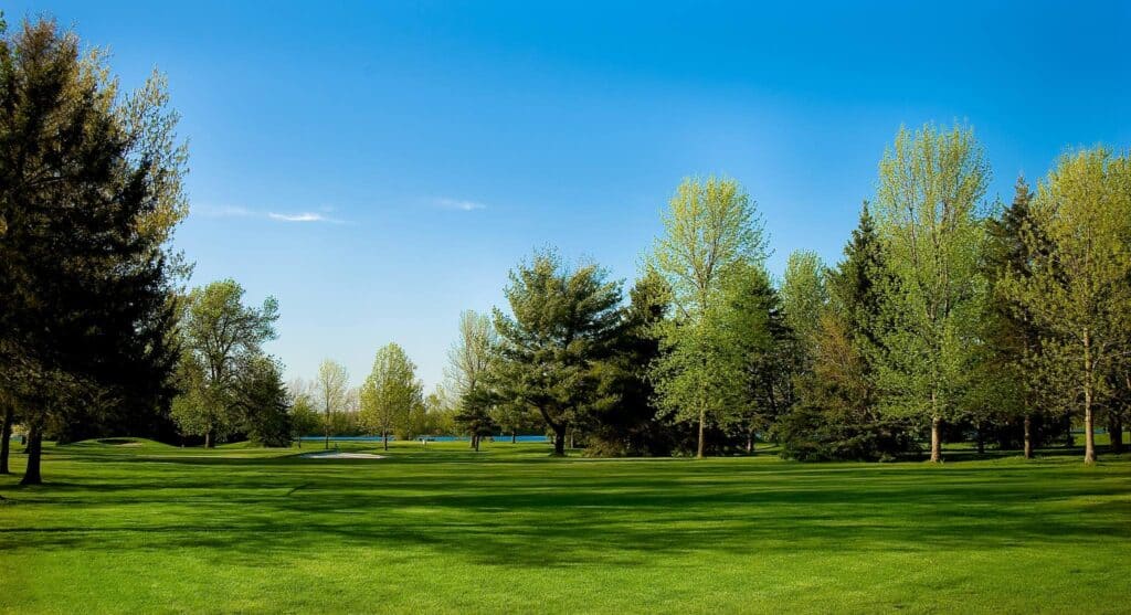 Top 9 Golf Courses In Mt Pleasant Mi In 2022