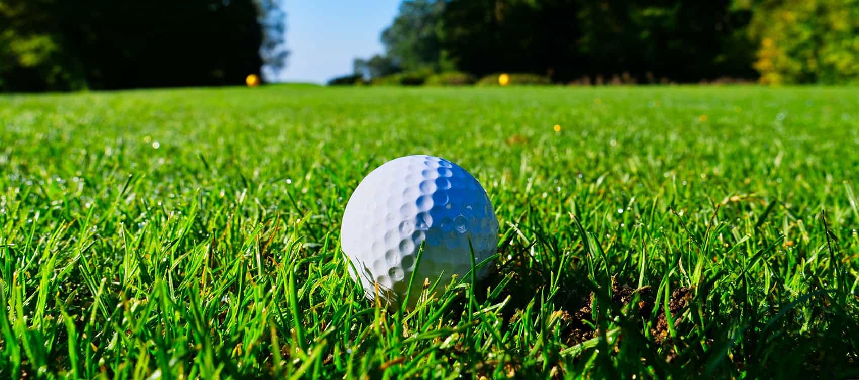 trickgolfballs Par 3 Near Me