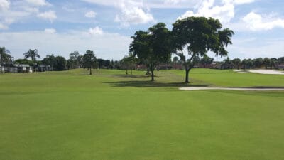 Kings Point Golf