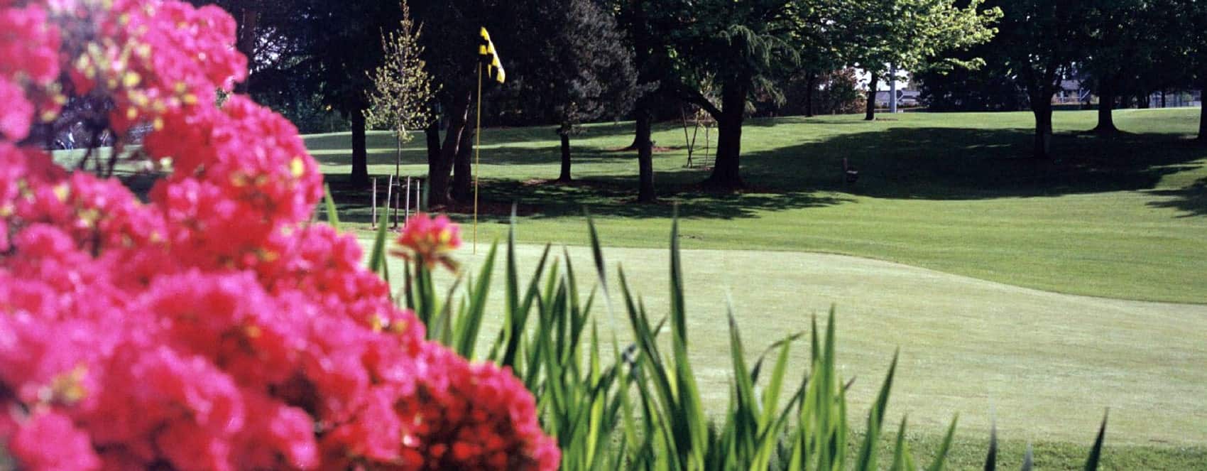 Lake Oswego Golf Course - Par 3 in Lake Oswego Oregon