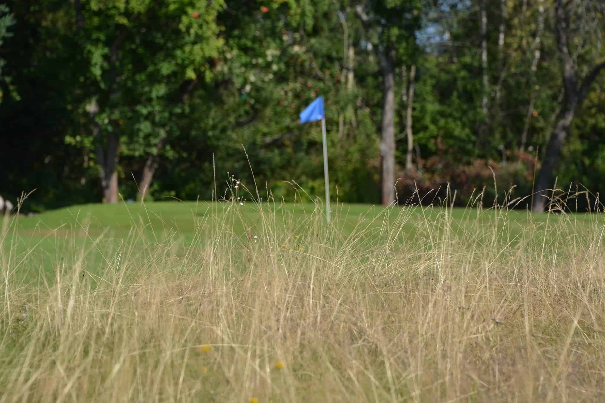 South Cove Camping and Golf Par 3 Golf Course in Shediac