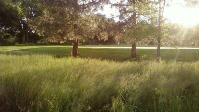 Antelope Greens Golf Course