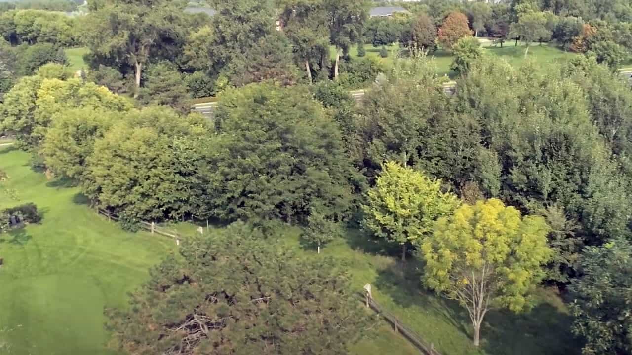 Birnamwood Golf Course