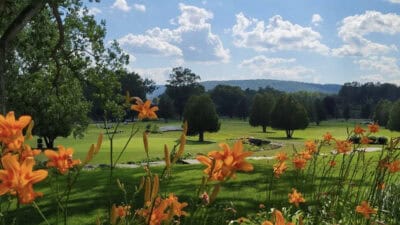Chenango Commons Golf Course