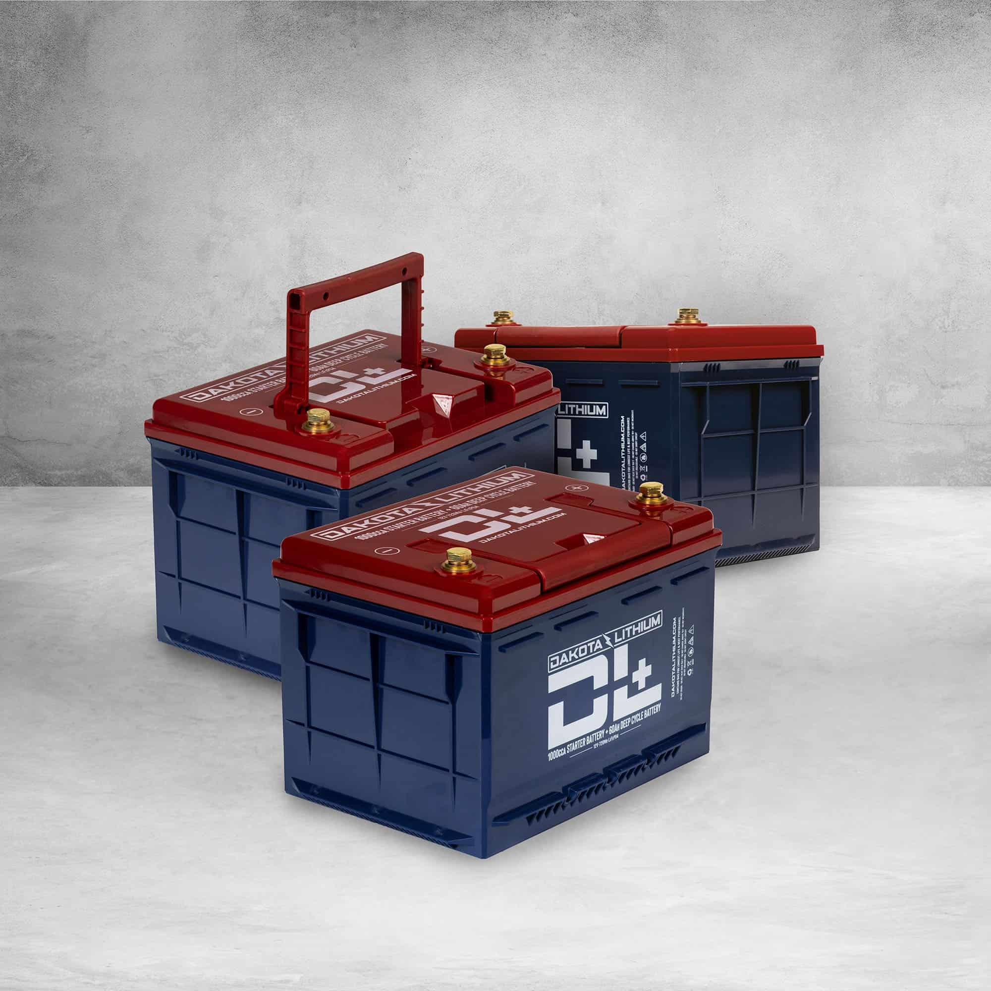 Dakota Lithium Golf Cart Deep Cycle Replacement Battery Set
