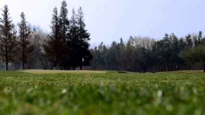 Jack Tone Golf