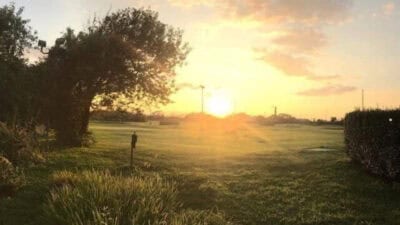 Riis Park Golf Course