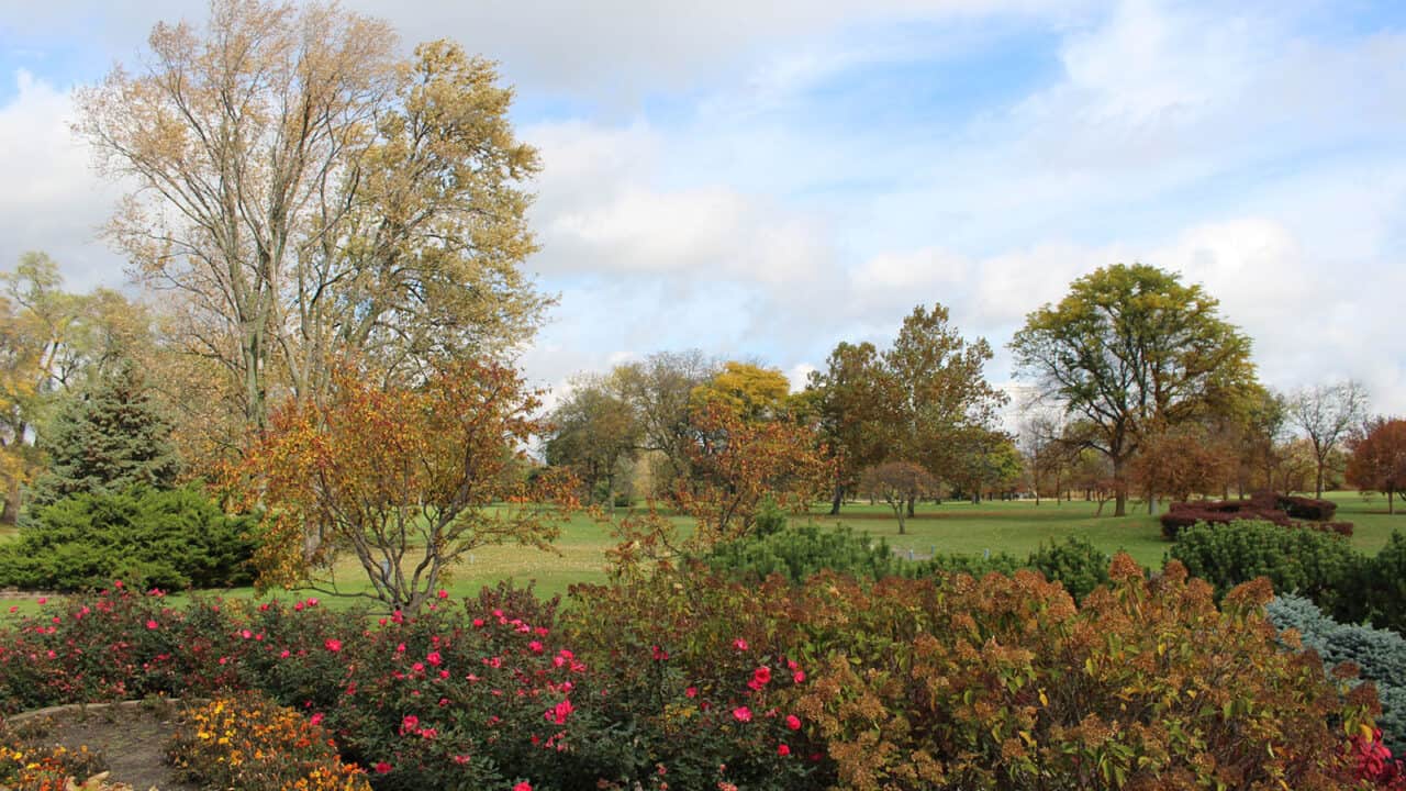 Salt Creek Golf Club