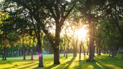 Travelers Country Club on the Mississippi