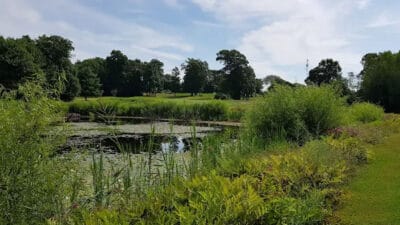 Windmill Hill Golf Course (CLOSED)