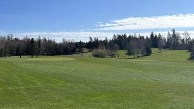 Bacon's Par 3