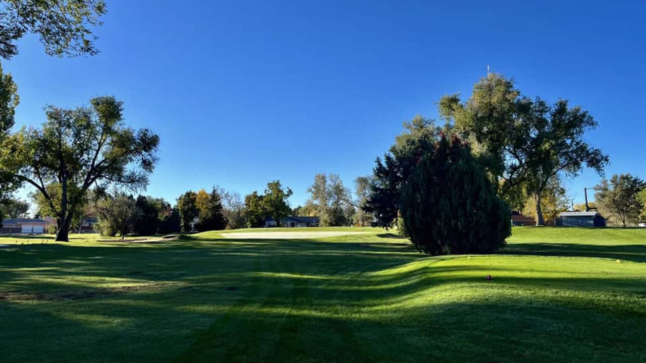 Executive at Elmwood Golf Course