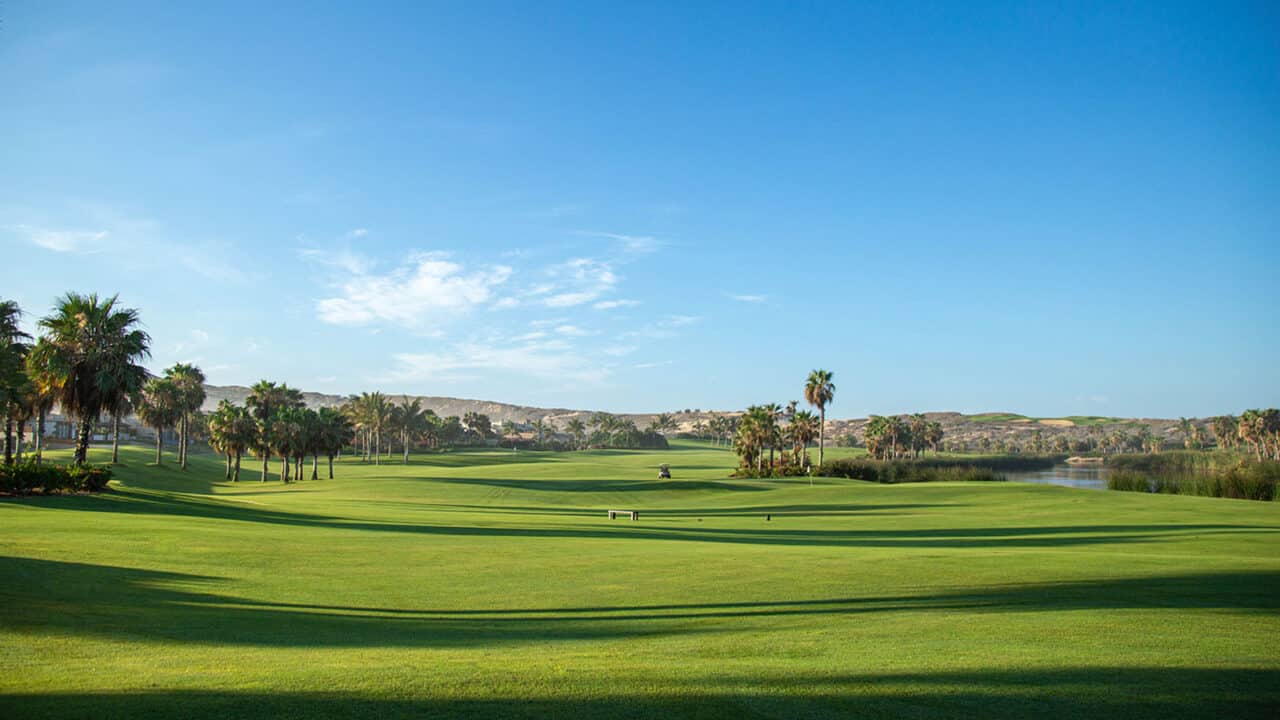 The Oasis Short Course