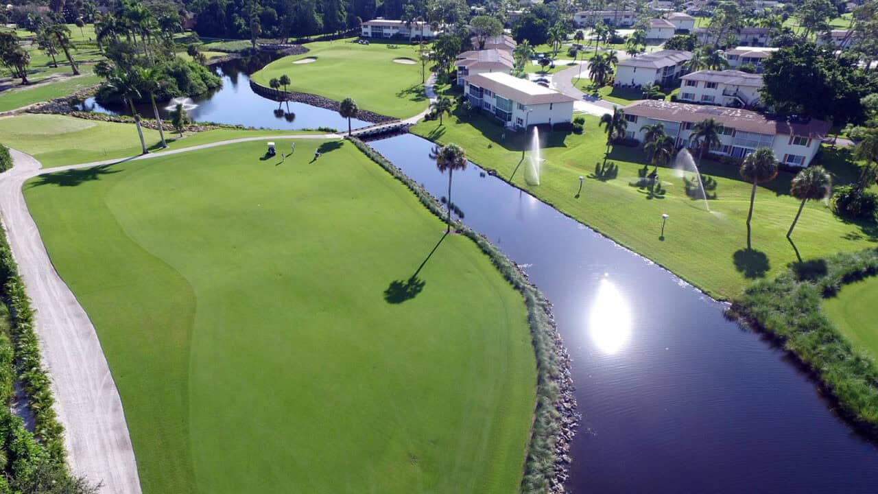 The Palmetto