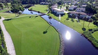 The Palmetto