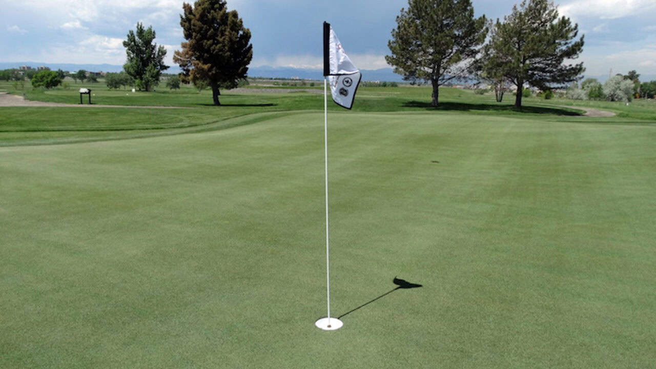 CommonGround Short Course