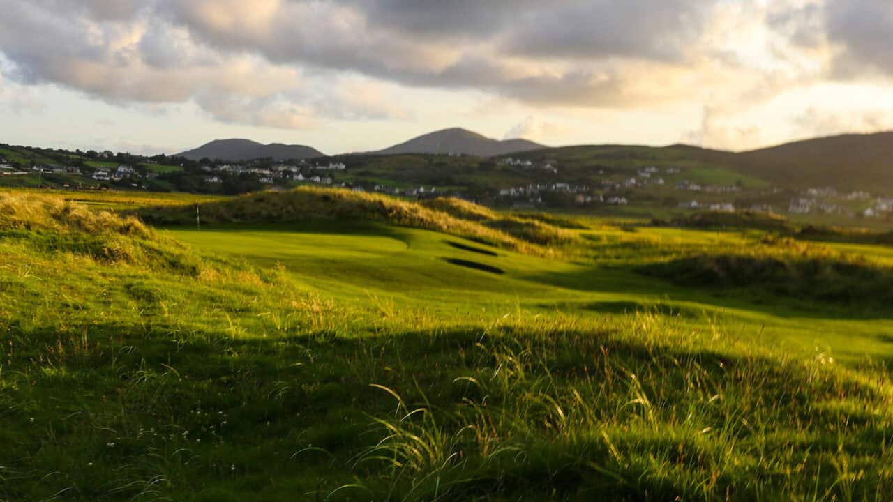 The Pollan Links