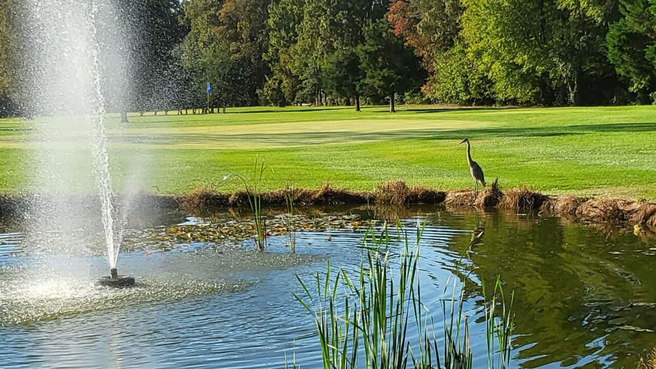 Shamrock Farms Par 3 Golf Course