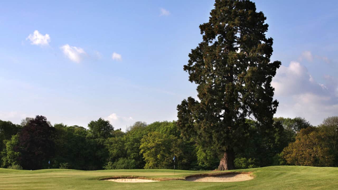 The Manor Course