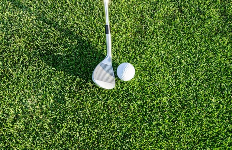 How to Choose the Right Ball for Playing Shorter Holes