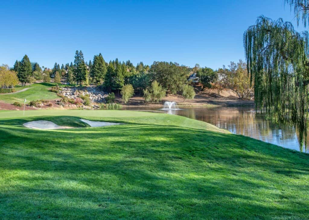Most Challenging Par 3 Holes in the US