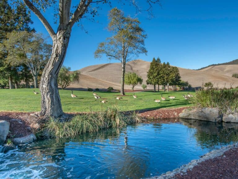 Par 3 Courses