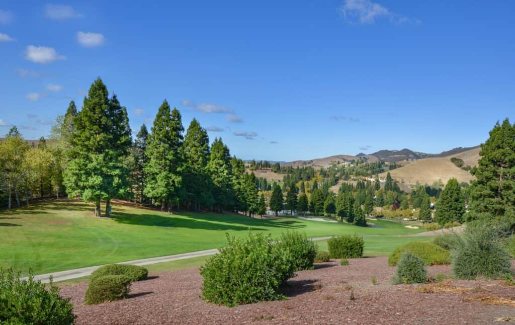 Most Challenging Par 3 Holes in the US