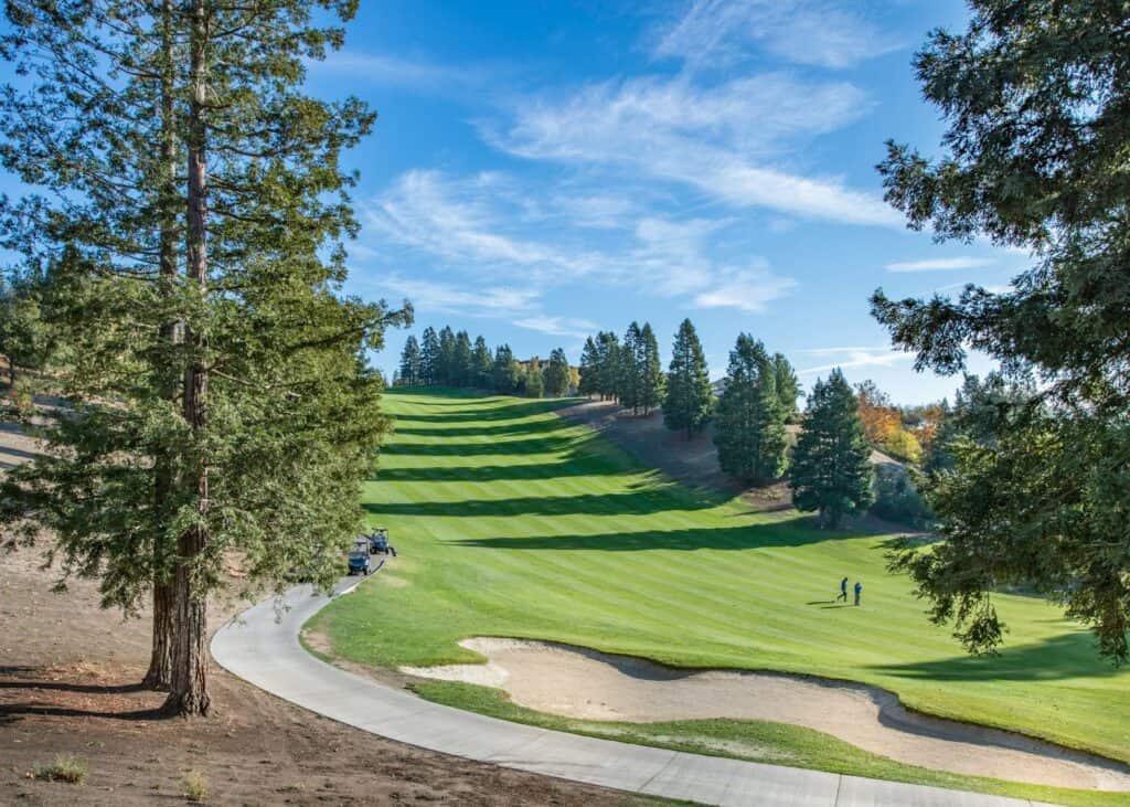 Most Challenging Par 3 Holes in the US