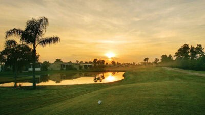 Blue Heron Pines