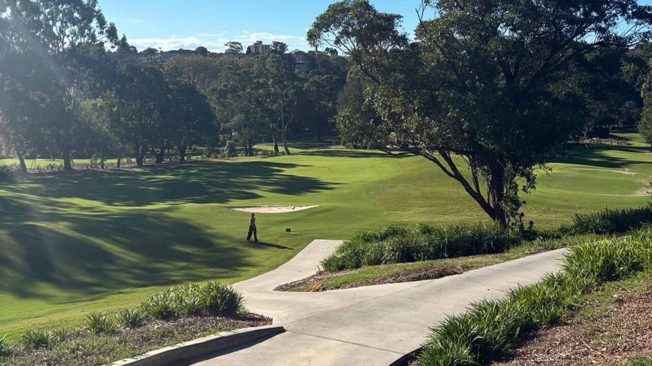 Cammeray Golf Club